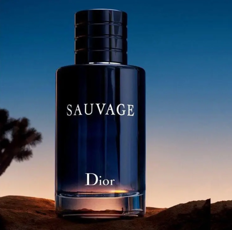 Sauvage Dior – Perfume Masculino – Eau de Toilette