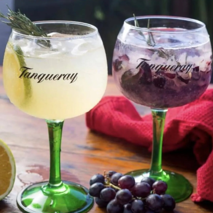 Jogo de Taças para Gin Vidro 600ml 2 Peças – Globimport Diageo Tanqueray