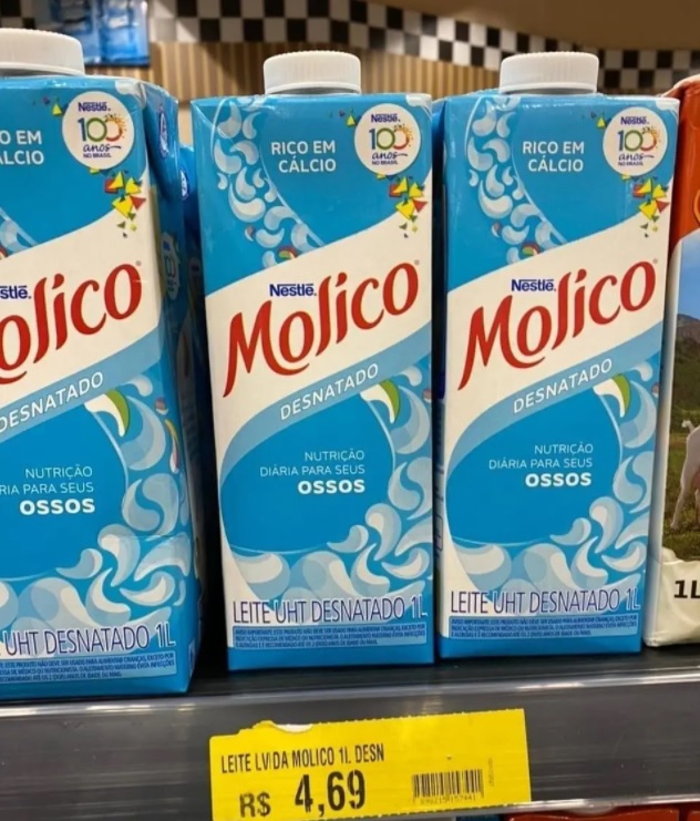 LEITE DESNATADO MOLICO 1L