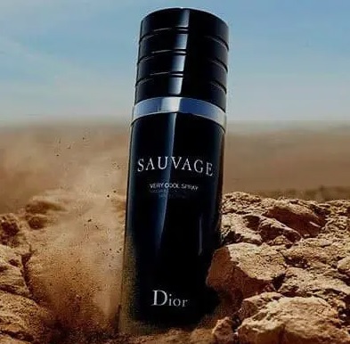 Sauvage Cool Masculino Eau de Toilette