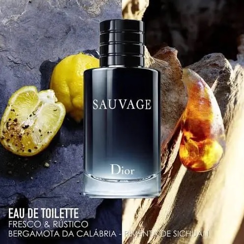 Sauvage Dior Eau de Toilette – Perfume Masculino 100ml