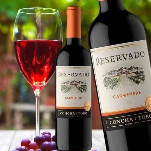 Vinho Concha y Toro Carmenere 750 Ml