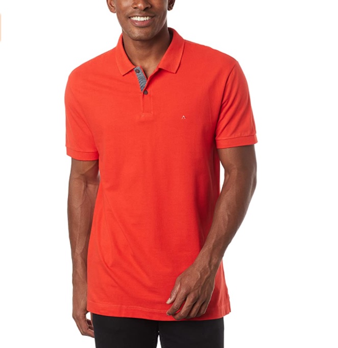 Camisa Polo Aramis várias Cores