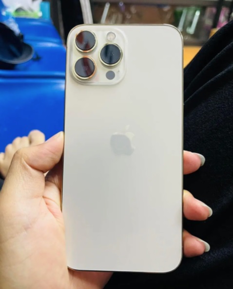 Apple iPhone 13 Pro Max (128 GB)