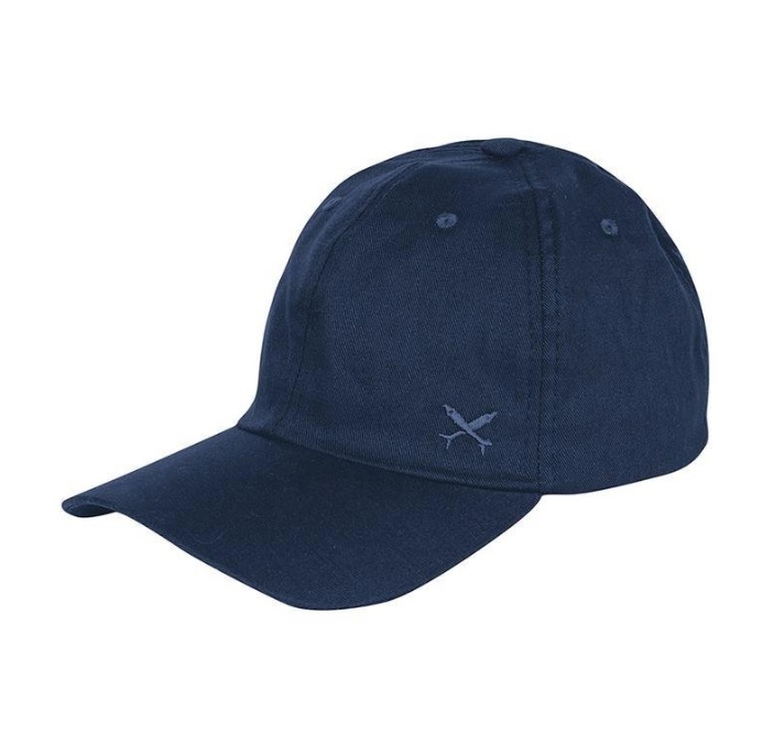Boné Masculino Aba Curva