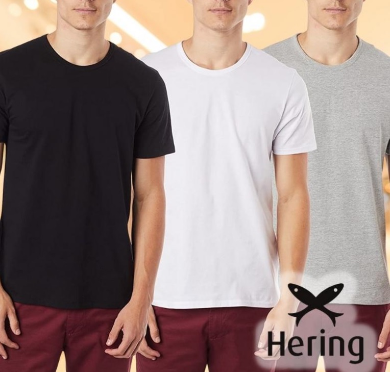 Camiseta CAMISETAS, Hering, Masculino
