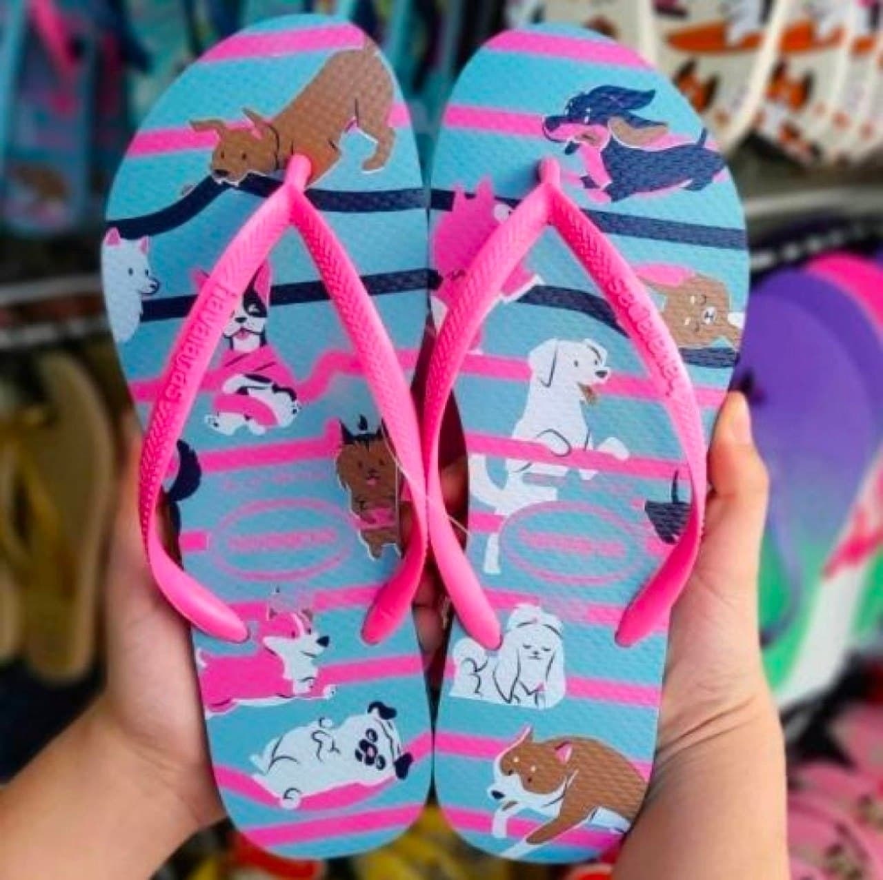 Chinelo Slim Pets, Havaianas, Meninas