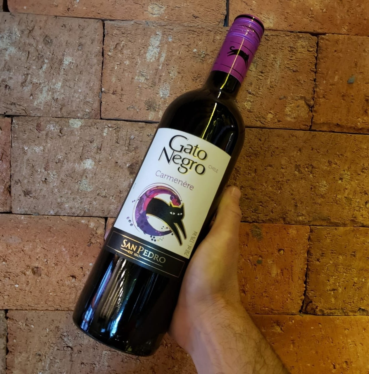 Vinho Tinto Gato Negro Carmenere 750 Ml