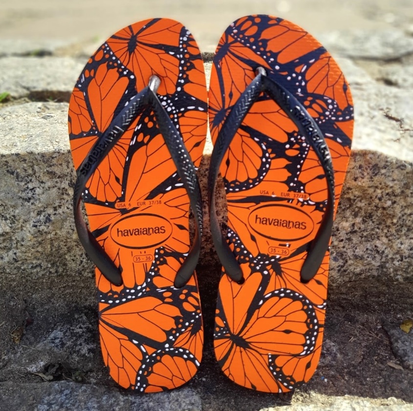 Sandália de dedo Havaianas Slim Animals feminino