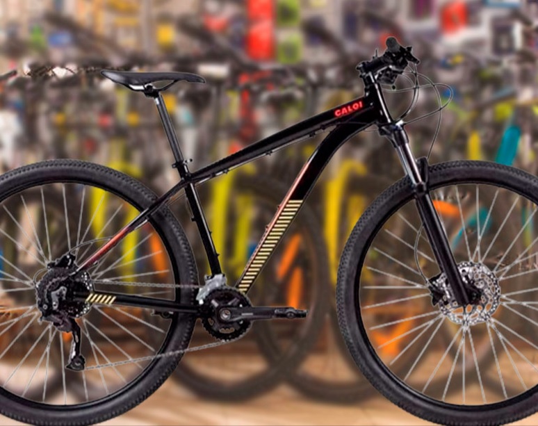 Bicicleta Caloi Aro 29 Moab Flex Tamanho 17
