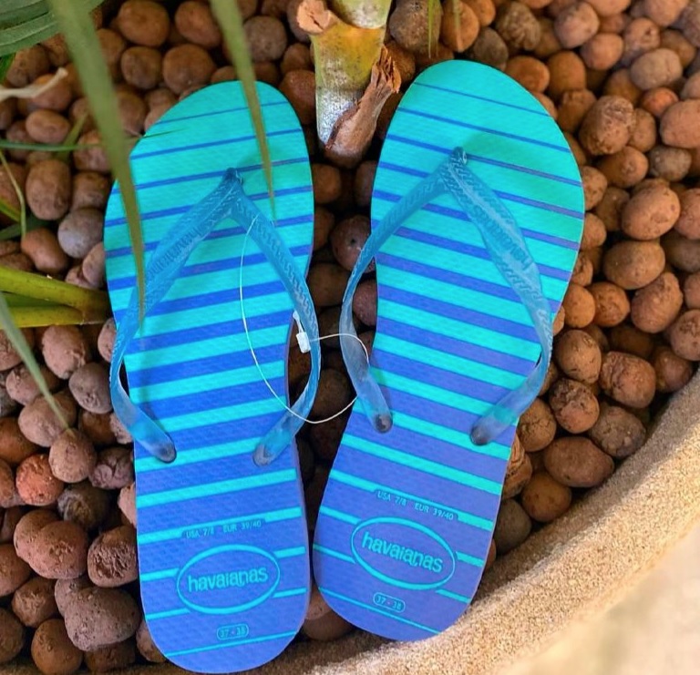 Chinelo Fantasia Style, Havaianas, Feminino