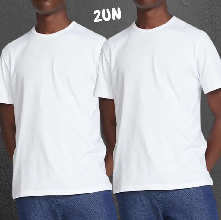 Kit Com 2 Camisetas Masculinas Básicas – Hering
