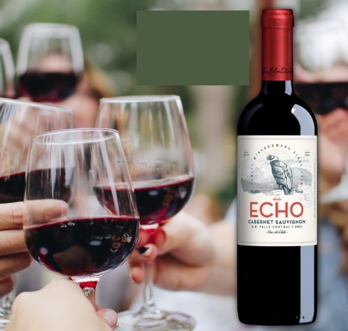 Vinho Chileno Echo Classic Cabernet Sauvignon