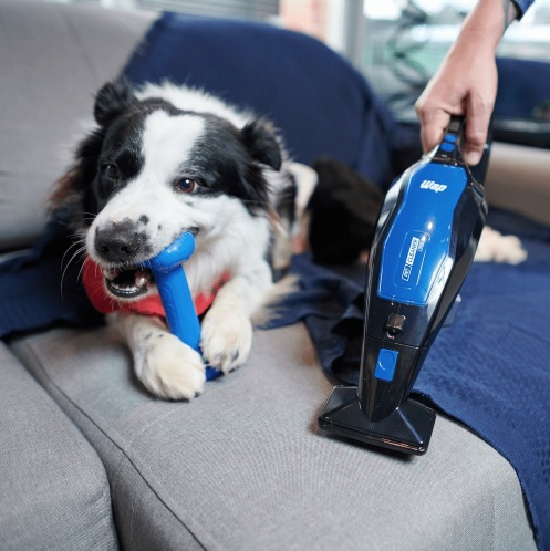 [APP AMAZON] Extratora de Sujeira Portátil WAP PET CLEANER MOB 4 em 1 Aspira Borrifa Esfrega Extrai 120W Bivolt Sem Fio a Bateria
