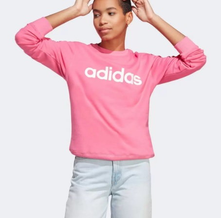 Moletom Adidas Logo Linear Feminino