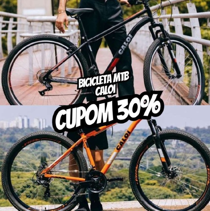 Bicicleta Mtb Caloi Two Niner Alloy Aro 29 – Susp Dianteira – Quadro Alumínio – Shimano – 21 Velocidades – Freio a Disco