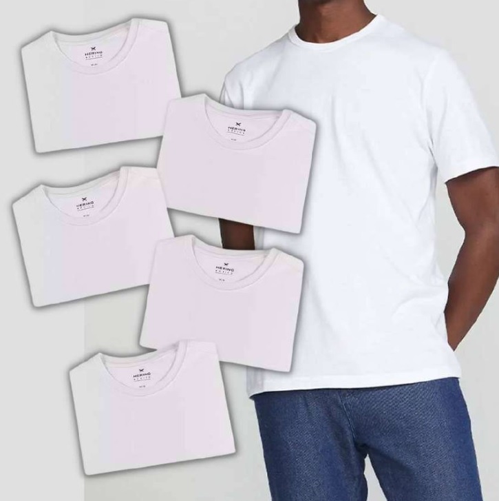 Kit Com 5 Camisetas Masculinas Básicas – Hering