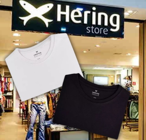 Kit Com 2 Camisetas Femininas Básicas Hering