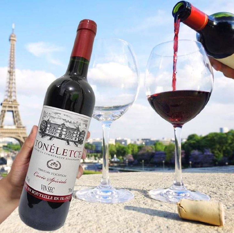 Vinho Tinto Francês Tonéletce 750ml