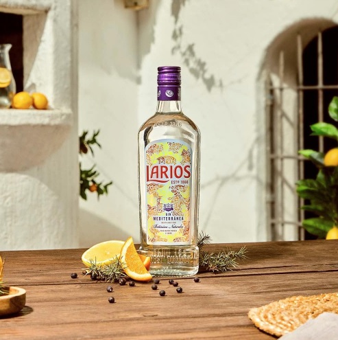 L4r1os G1n Espanhol Dry Original 700ml