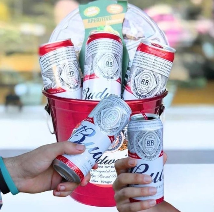 Cerveja Budweiser American Lager 8 Unidades – Lata 269ml