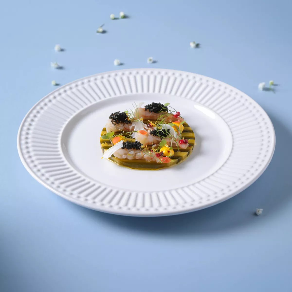 Conjunto 6 Pratos De Sobremesa Roma Branco Liso 20.5 cm Porto Brasil