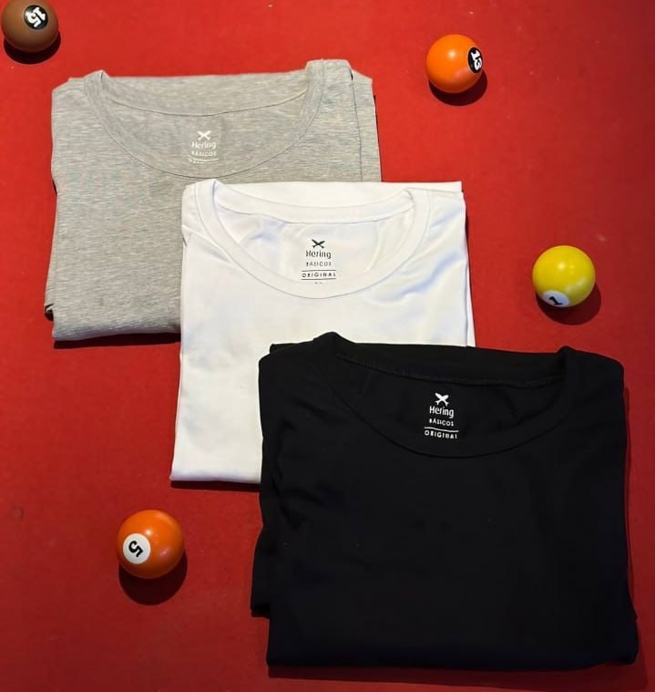 Kit Com 3 Camisetas Masculinas Básicas Hering