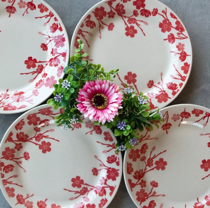 Conjunto De 6 Pratos Sobremesa Donna Jardim Oriental 23050 18cm Vermelho e Marfim Biona