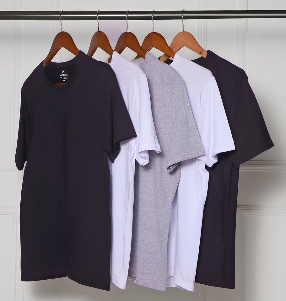 Kit Com 5 Camisetas Masculinas Básicas Hering