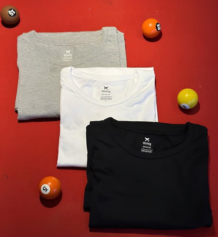Kit Com 3 Camisetas Masculinas Básicas Hering