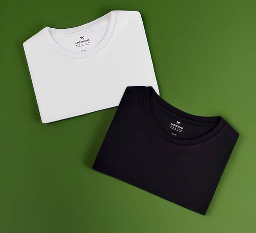 Kit Com 2 Camisetas Femininas Básicas Hering