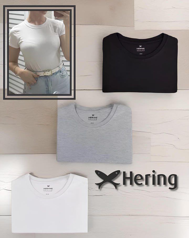 Kit Com 3 Camisetas Femininas Básicas Hering